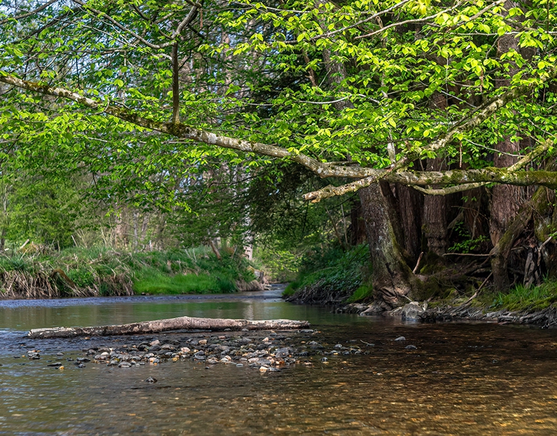 The-unknown-river